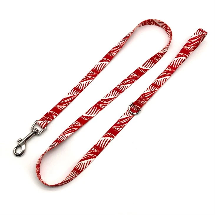 leash and collar for dogs